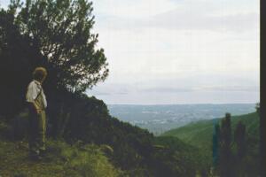 Dali Mountain View